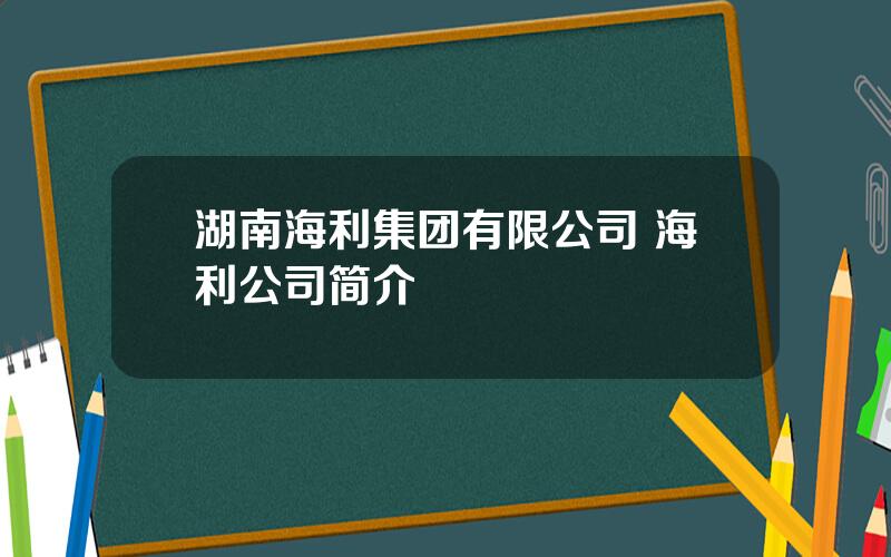 湖南海利集团有限公司 海利公司简介